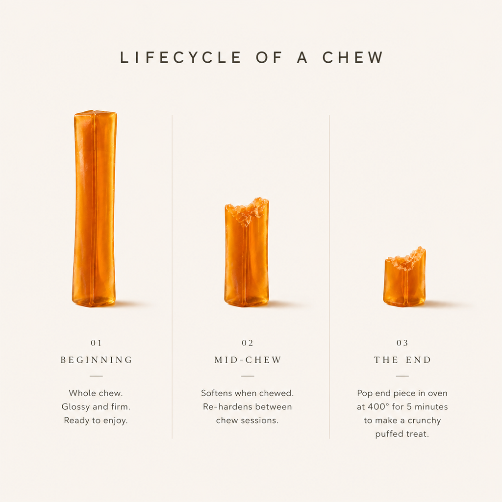 THE BONE BROTH CHEW